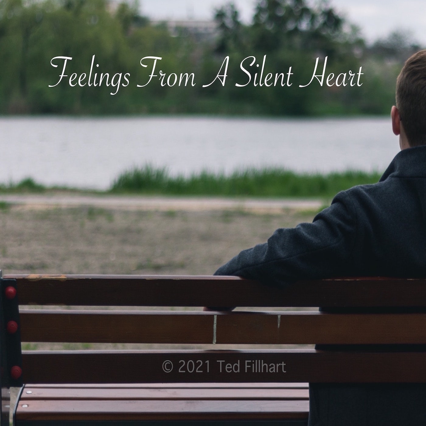 Feelings From  A Silent Heart cover