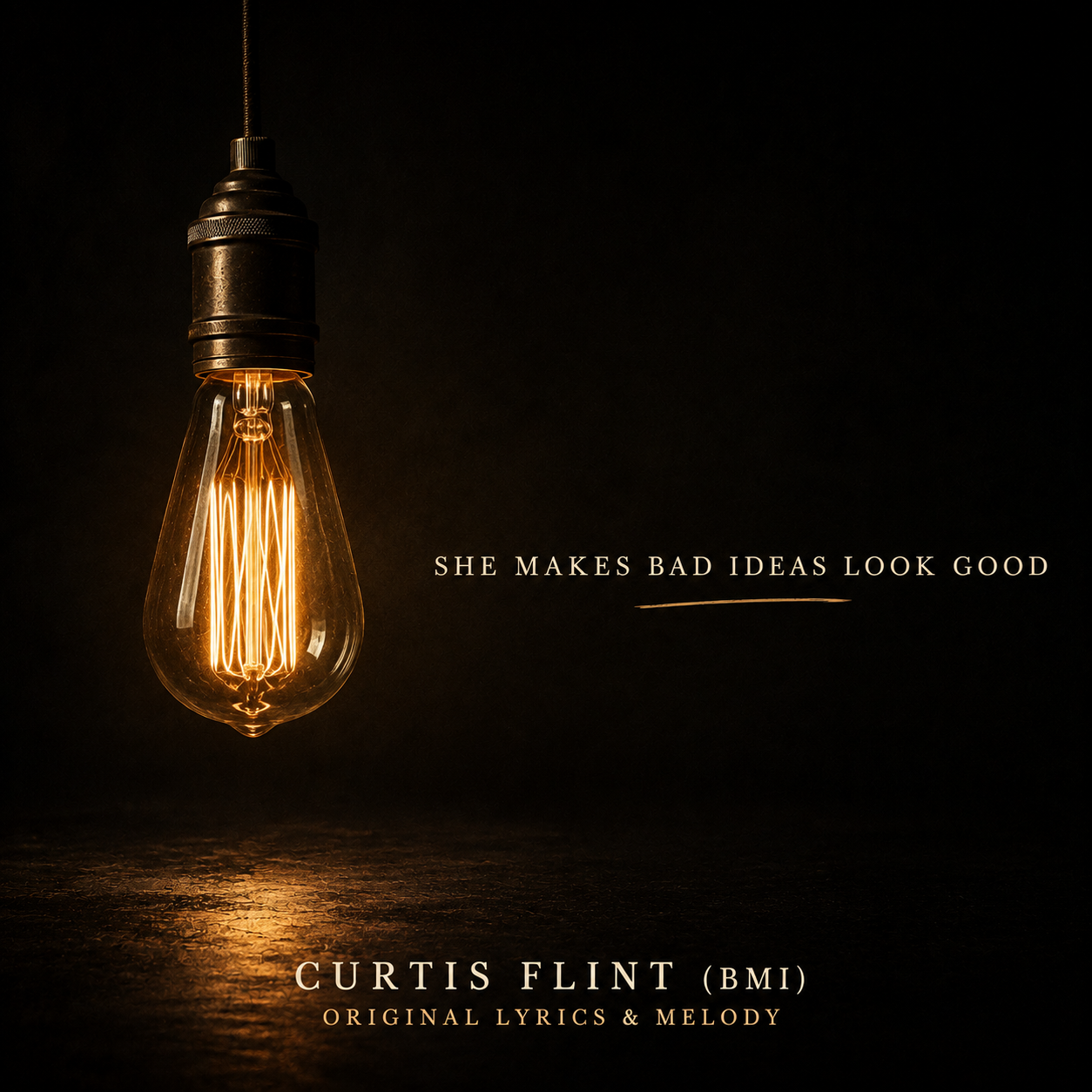 She Makes Bad Idea’s Look Good cover