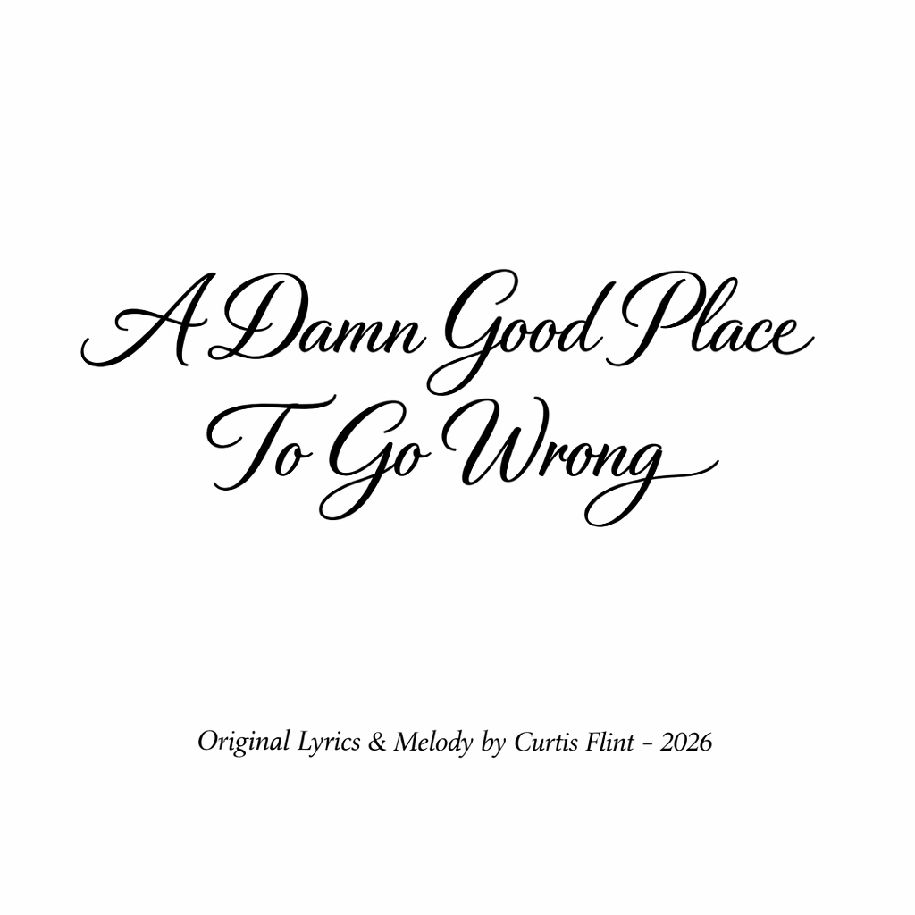 A Damn Good Place To Go Wrong cover