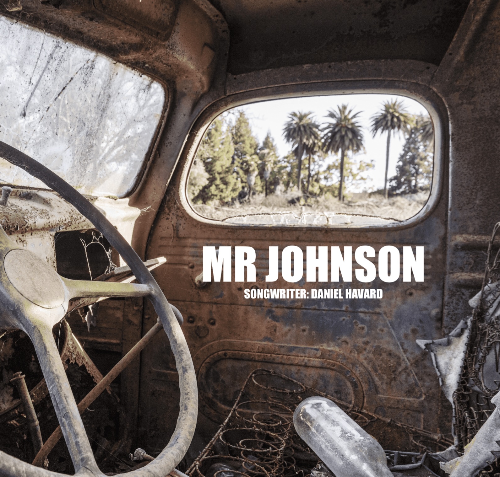 MR JOHNSON cover