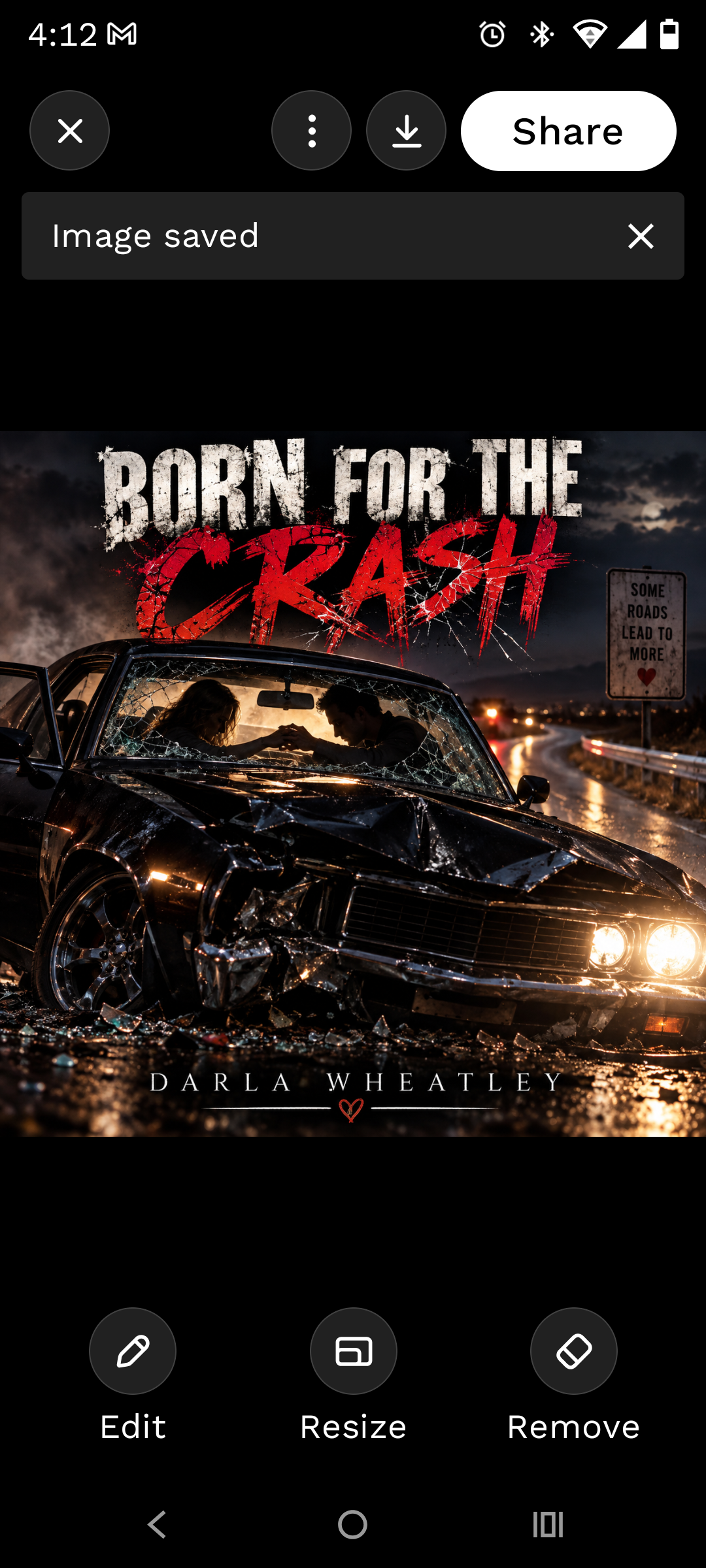 Born for the Crash cover