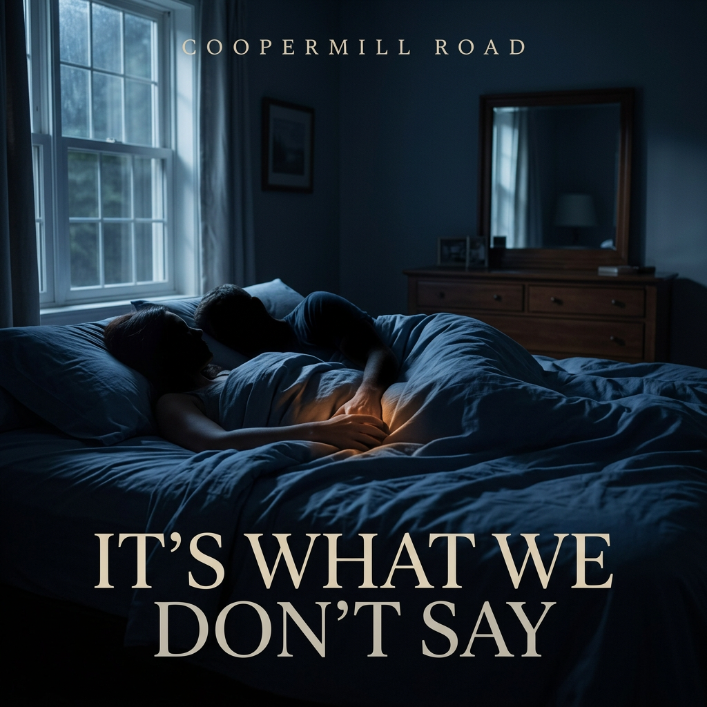 It's What We Don't Say cover
